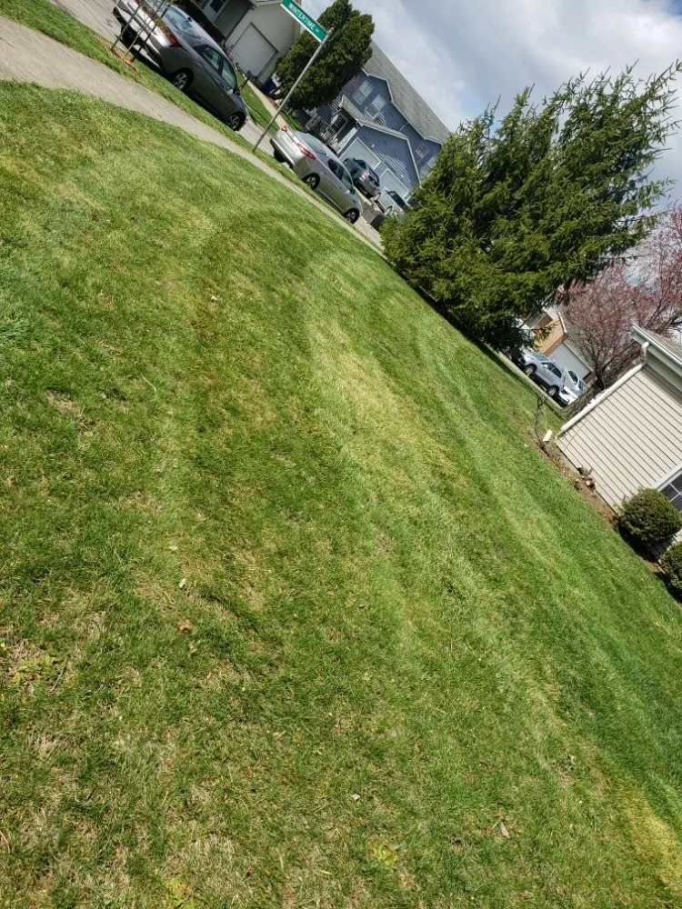 Affordable outdoor landscaping in Columbus, OH - DKG Landscaping