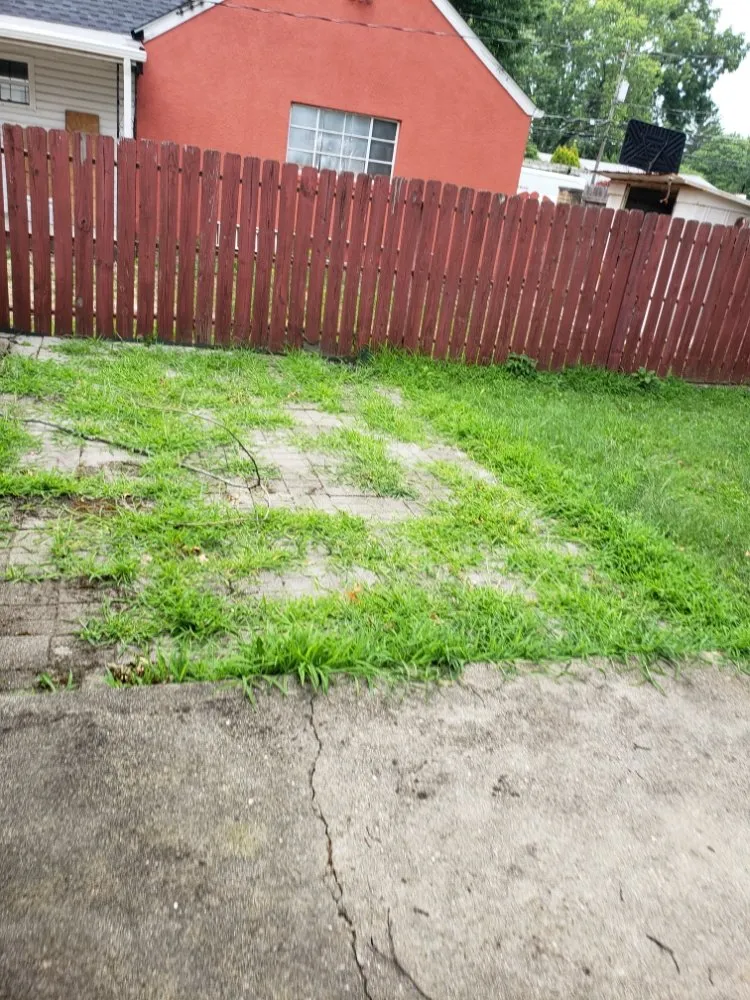 Reliable residential landscaping for year-round maintenance across Columbus, OH - DKG Landscaping