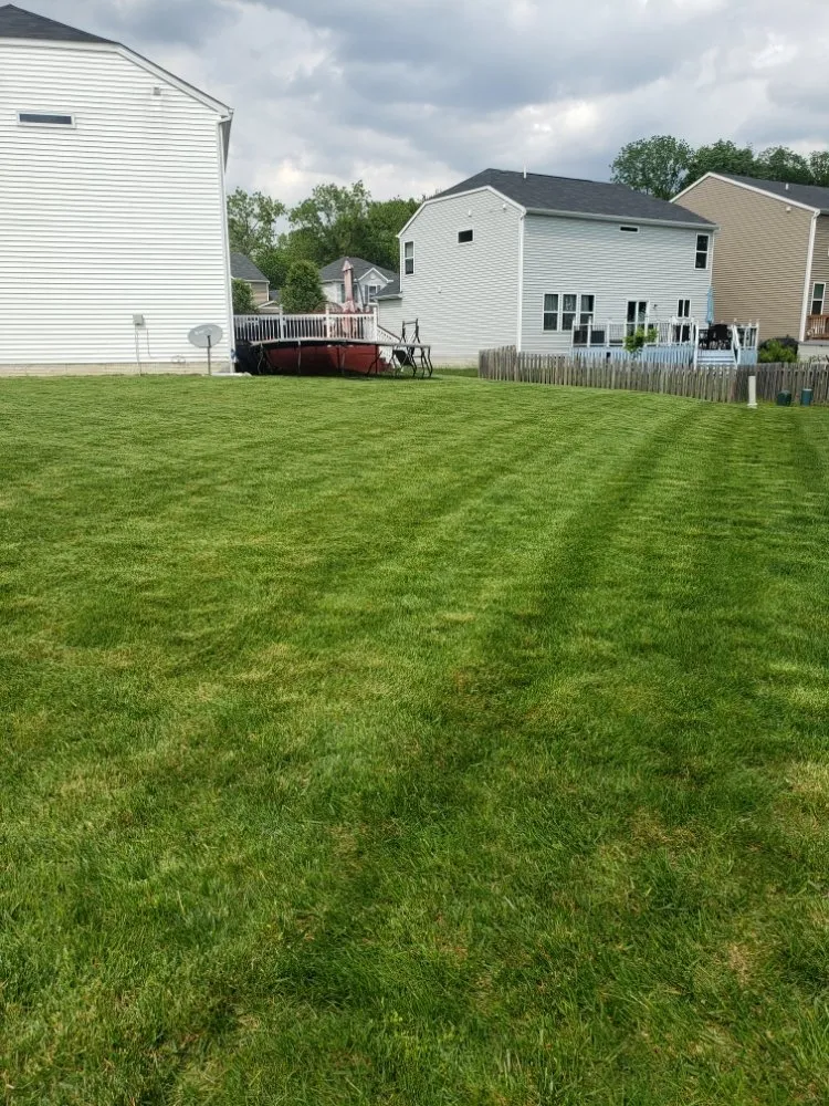 Custom landscaping services in Columbus, OH - DKG Landscaping