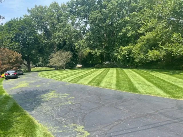 Custom landscape installation for outdoor upgrades across Jackson, MI - DKN Outdoor Maintenance