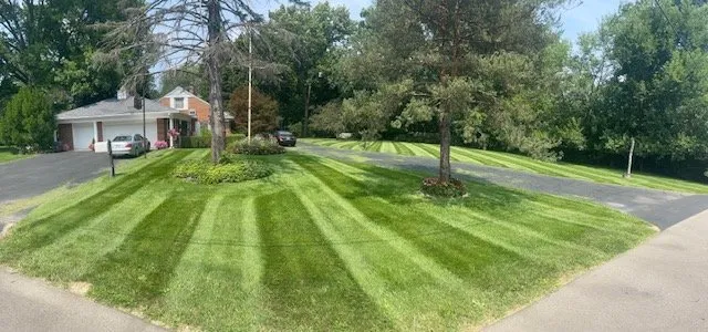 Top-rated landscaping services in Jackson, MI by DKN Outdoor Maintenance