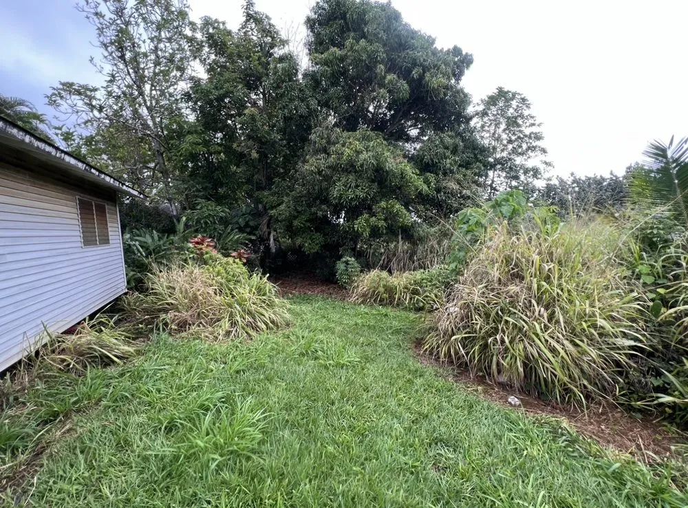 Reliable lawn mowing service experts serving Kapaʻa, HI - DK’s Quality Services