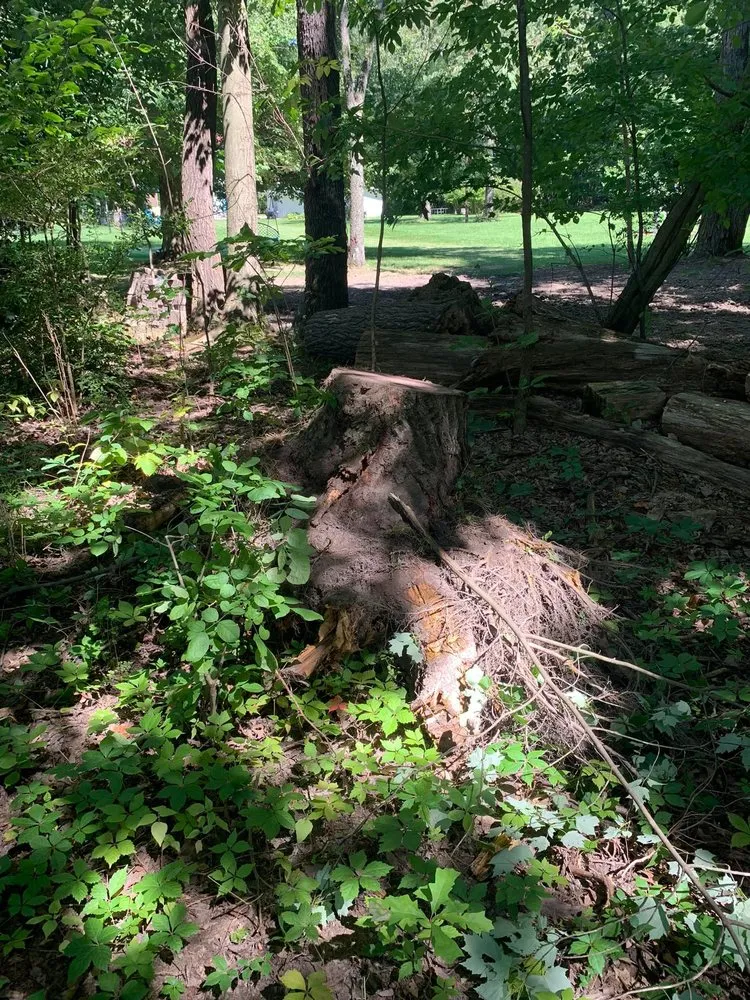 Top-rated lawn care service for residential properties in Akron, OH by DK’s Tractor and Grading Services