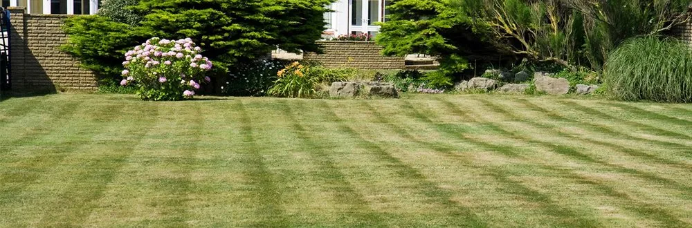 Custom lawn care service experts serving Burlington, NC - DKW Cuts