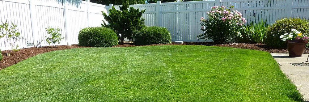 Top-rated lawn care service in Burlington, NC - DKW Cuts