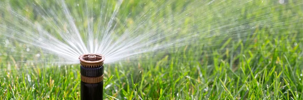 Expert yard maintenance in Burlington, NC - DKW Cuts