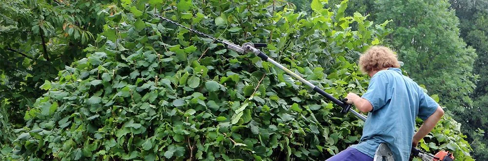 Affordable yard cleanup service for outdoor upgrades in Burlington, NC by DKW Cuts