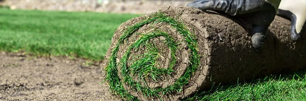 Custom yard maintenance for year-round maintenance in Burlington, NC by DKW Cuts