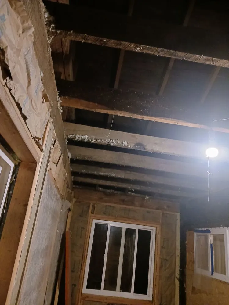 Reliable residential landscaping for homes across Bangor, WI - DL Broadworks