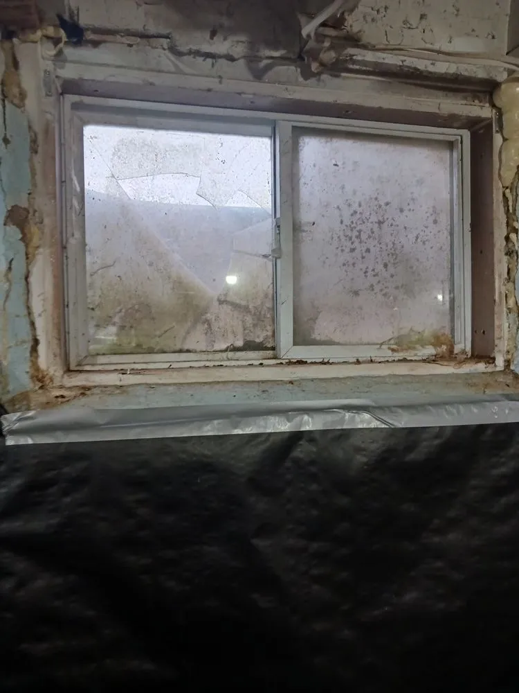 Top-rated landscape design in Bangor, WI - DL Broadworks