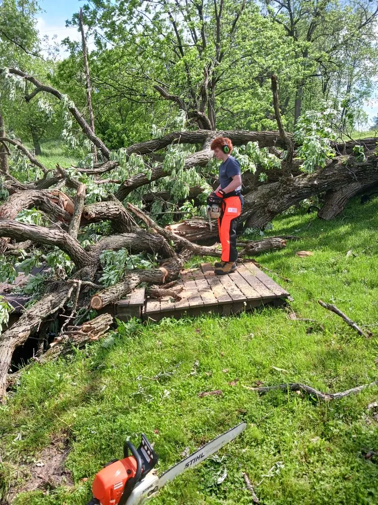 Custom lawn care service near you in Bangor, WI by DL Broadworks