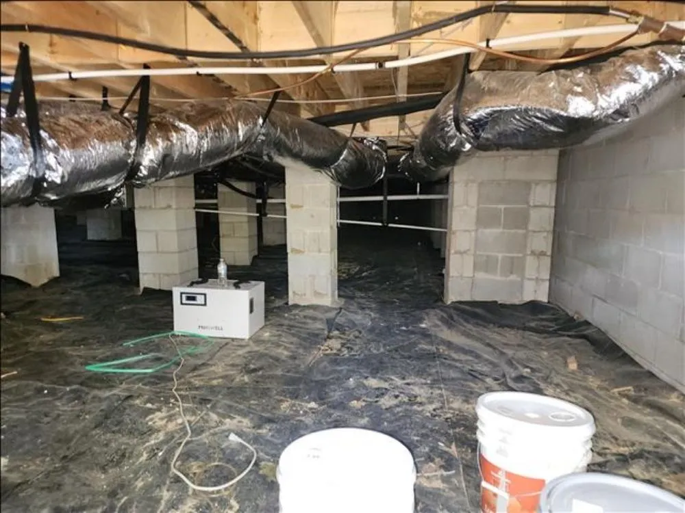 Affordable yard maintenance experts serving Henderson, NC - DL Construction and Restoration