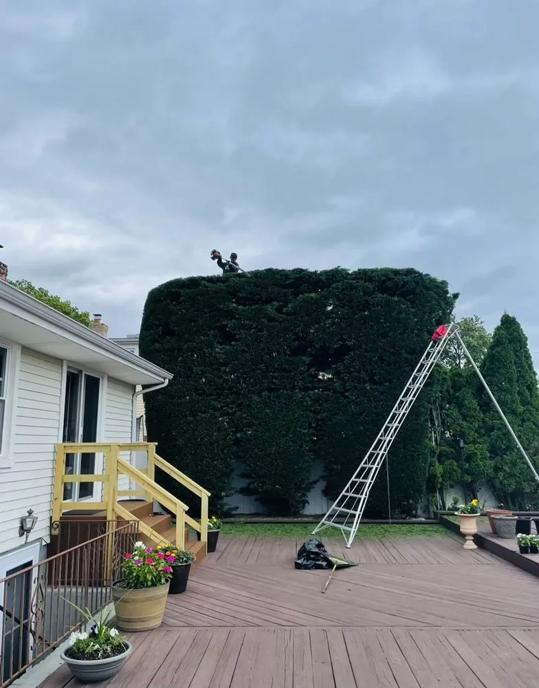 Professional lawn mowing service for year-round maintenance across East Meadow, NY - DL Ernesto landscaping