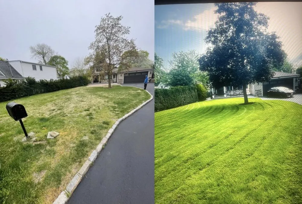 Affordable yard maintenance in East Meadow, NY by DL Ernesto landscaping