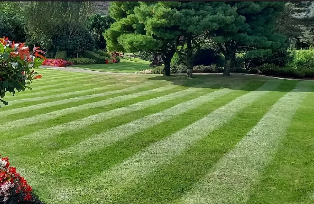 Local lawn mowing service in Niles, MI by DL Facilities