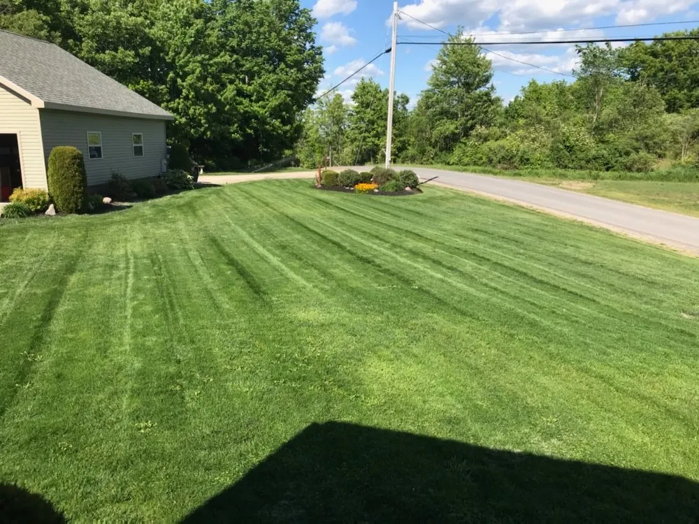Professional outdoor landscaping for beautiful yards in Harrisville, NY by D&L Hydroseeding