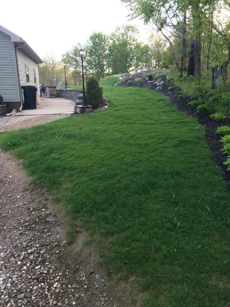 Local outdoor landscaping in Harrisville, NY - D&L Hydroseeding