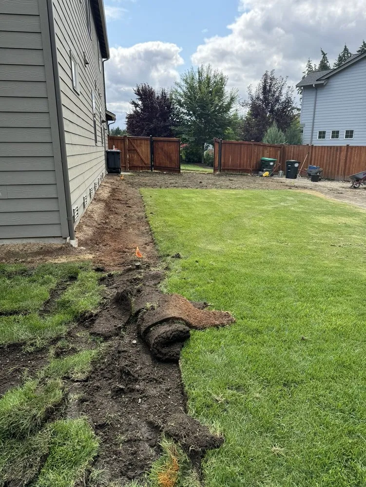 Professional outdoor landscaping in Lacey, WA by D&L landscaping & concrete service