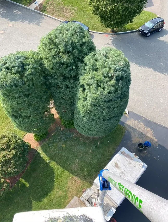 Expert outdoor landscaping in Lynn, MA - DL Landscaping & Construction