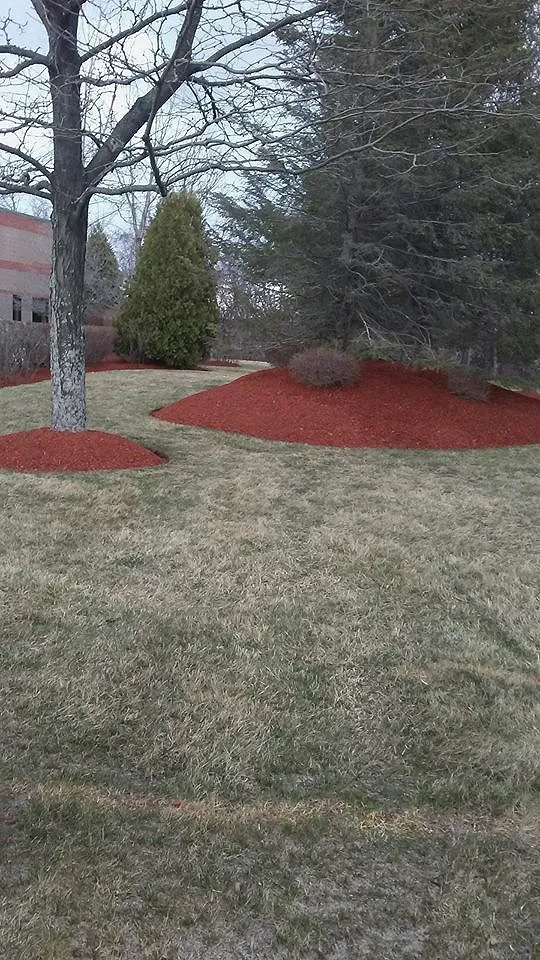 Local lawn care service in Lynn, MA - DL Landscaping & Construction