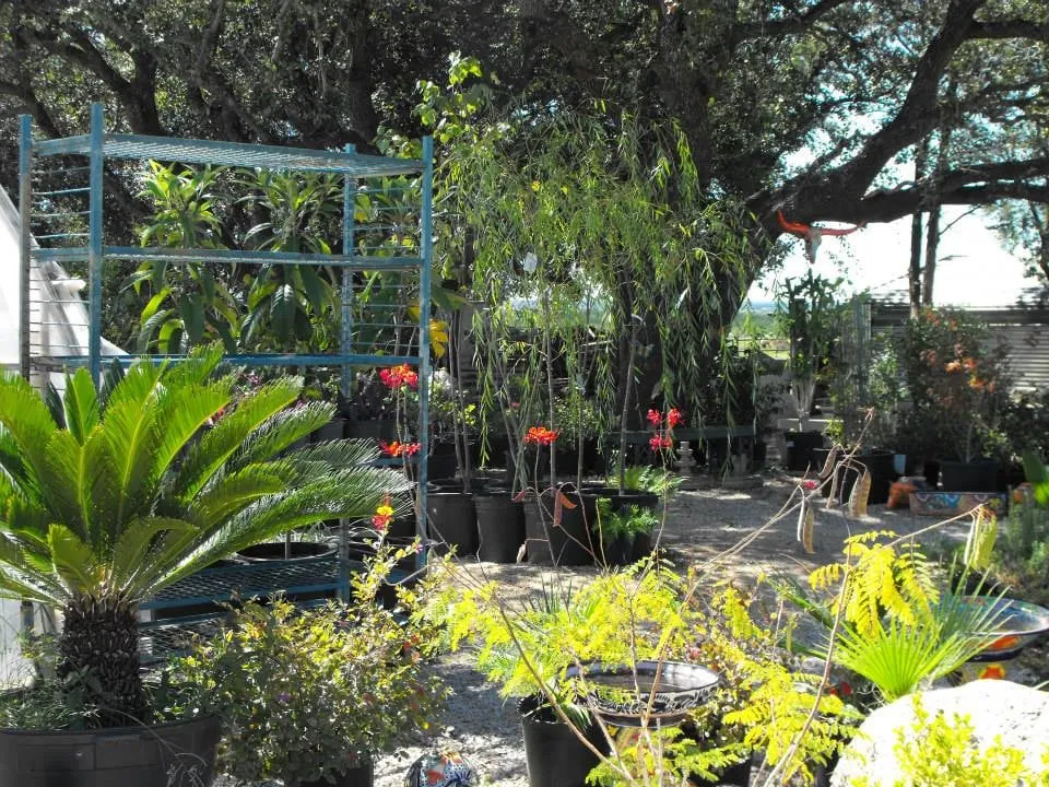 Affordable garden landscaping experts serving Bertram, TX - D&L Landscaping