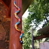 Local lawn care service experts serving Bertram, TX - D&L Landscaping