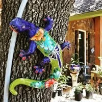 Expert outdoor landscaping for outdoor upgrades in Bertram, TX by D&L Landscaping