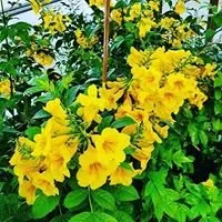 Reliable residential landscaping in Bertram, TX by D&L Landscaping