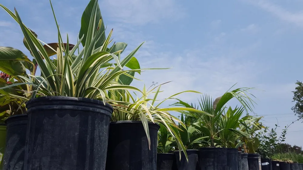 Affordable yard maintenance in Bertram, TX - D&L Landscaping