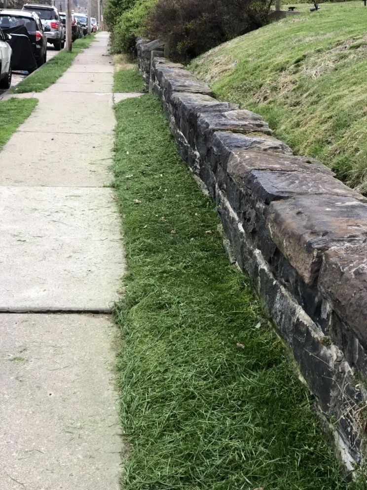 Top-rated yard cleanup service experts serving Hazelwood, PA - D&L Landscaping