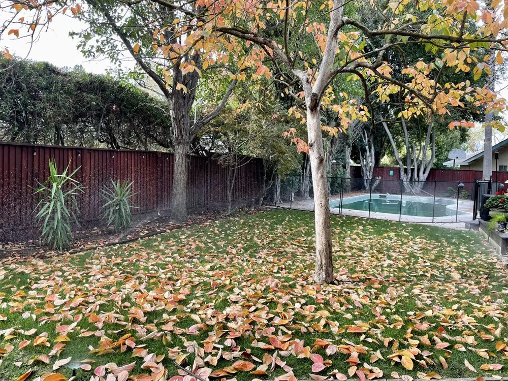 Top-rated lawn mowing service experts serving North Highlands, CA - DL Landscaping