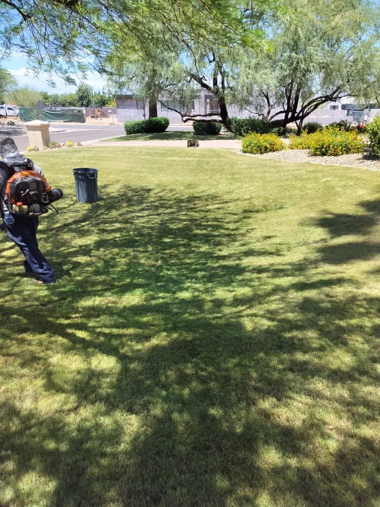 Top-rated yard maintenance with custom design in Phoenix, AZ by D&l Landscaping