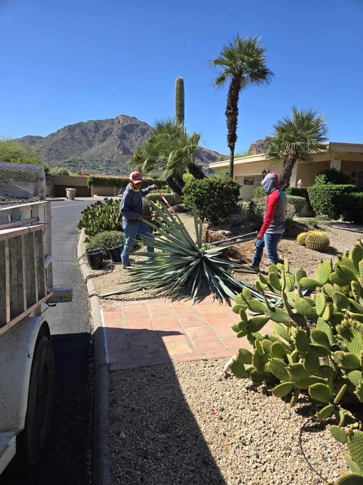 Top-rated residential landscaping for beautiful yards across Phoenix, AZ - D&l Landscaping
