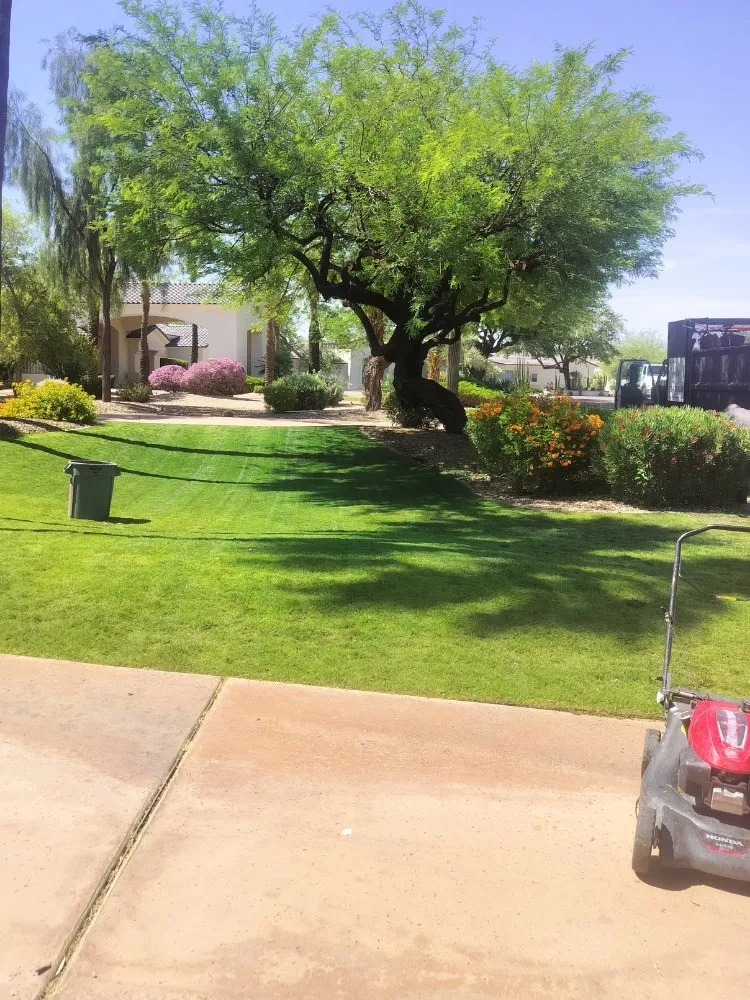 Custom residential landscaping in Phoenix, AZ by D&l Landscaping