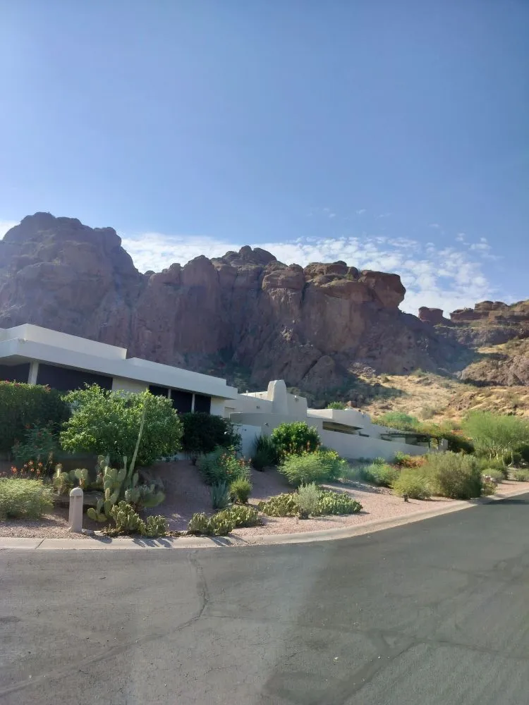 Trusted yard maintenance in Phoenix, AZ - D&l Landscaping