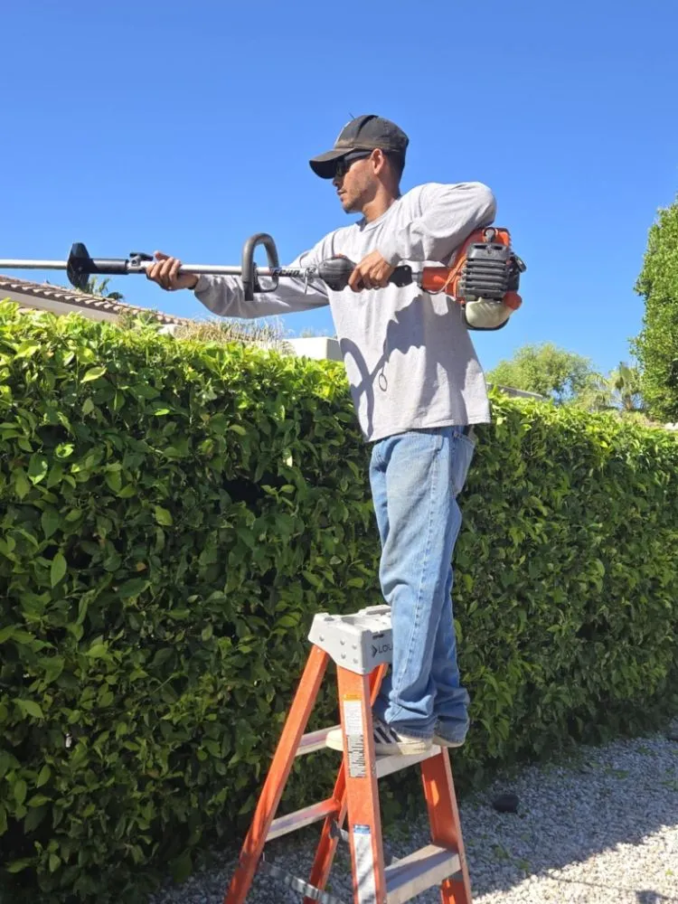 Custom landscape installation in Phoenix, AZ by D&l Landscaping