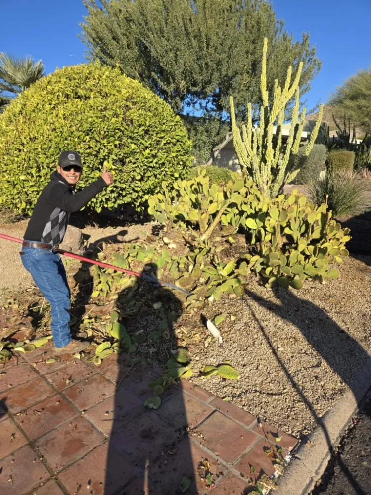 Local yard maintenance in Phoenix, AZ - D&l Landscaping