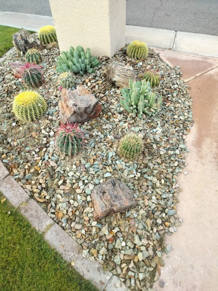 Affordable landscape design for beautiful yards in Phoenix, AZ by D&l Landscaping