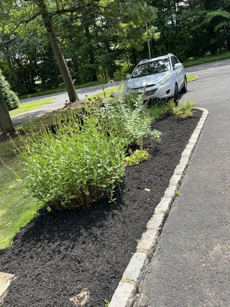 Top-rated lawn care service for homes in Nutley, NJ by DL Landscaping Service