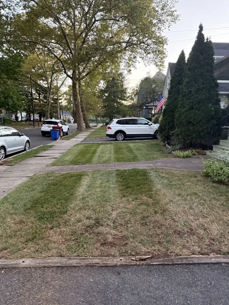 Affordable lawn care service experts serving Nutley, NJ - DL Landscaping Service