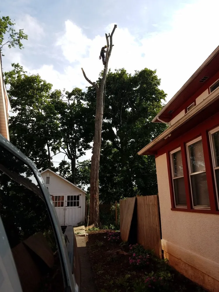 Affordable outdoor landscaping for homes across Somerset, NJ - DL Landscaping