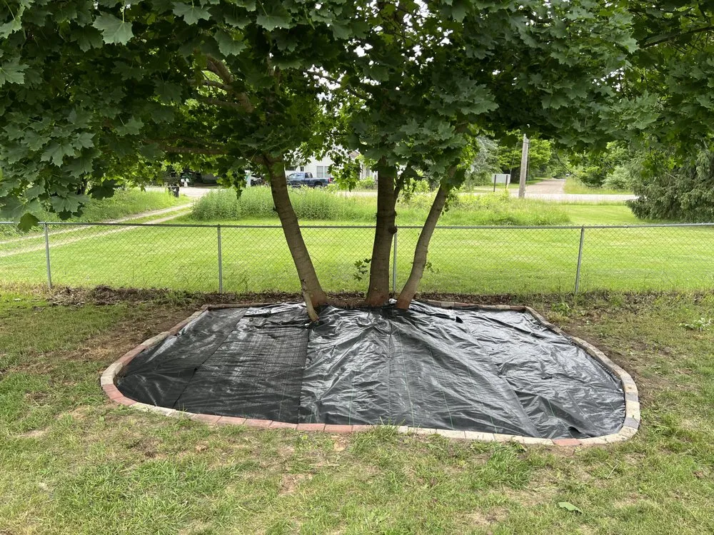 Local landscape design in Pinckney, MI - D&L Lawn Services