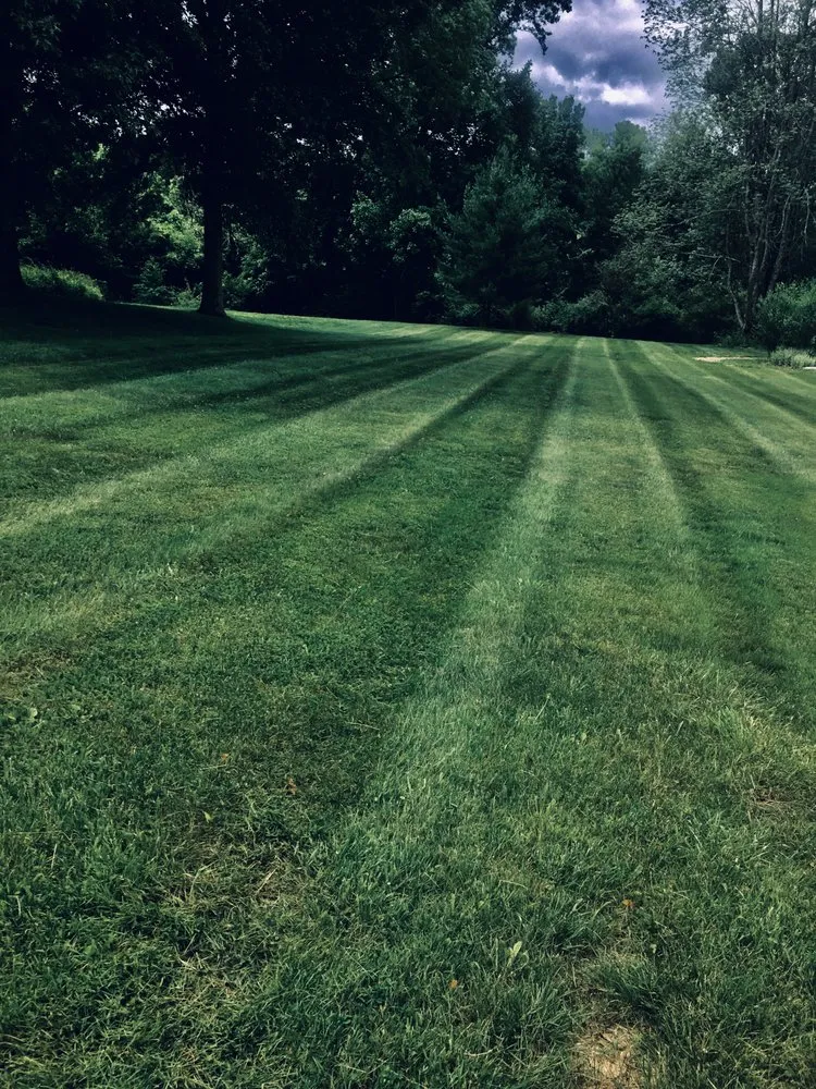 Expert yard maintenance experts serving Ellettsville, IN - D&L Outdoor Solutions