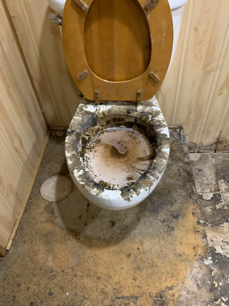 Custom lawn care service near you in Park Forest, IL by D&L Services