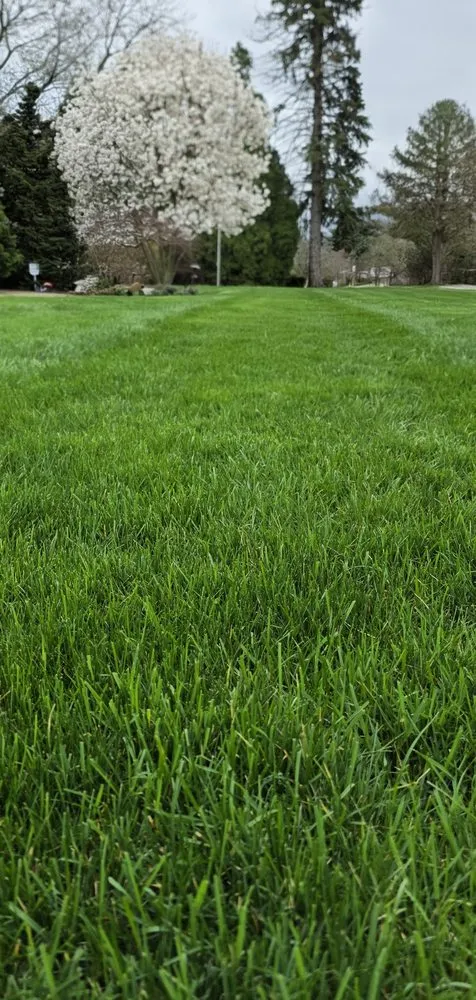 Custom landscape installation with custom design across East Canton, OH - DL Supply