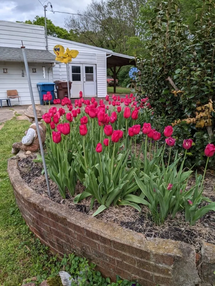 Custom landscaping services in Forest City, NC by D&L tractor work & Landscaping