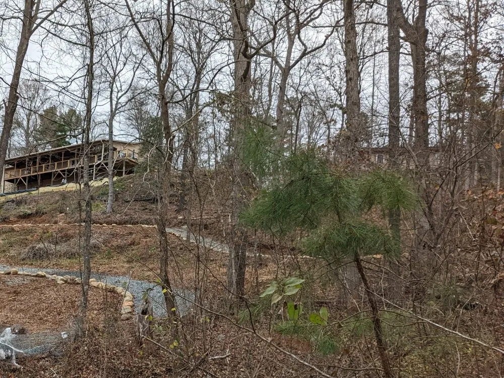 Top-rated yard cleanup service for beautiful yards in Forest City, NC by D&L tractor work & Landscaping