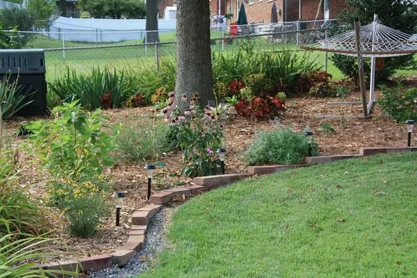 DLA Landscape Design Logo