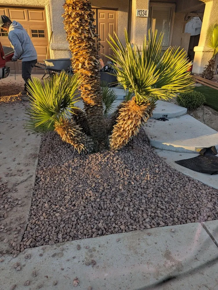 Trusted garden landscaping experts serving Henderson, NV - DLandscaping Services