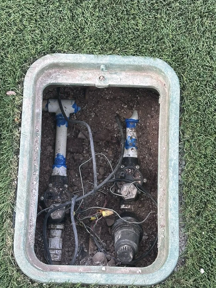 Affordable outdoor landscaping for outdoor upgrades in Henderson, NV by DLandscaping Services